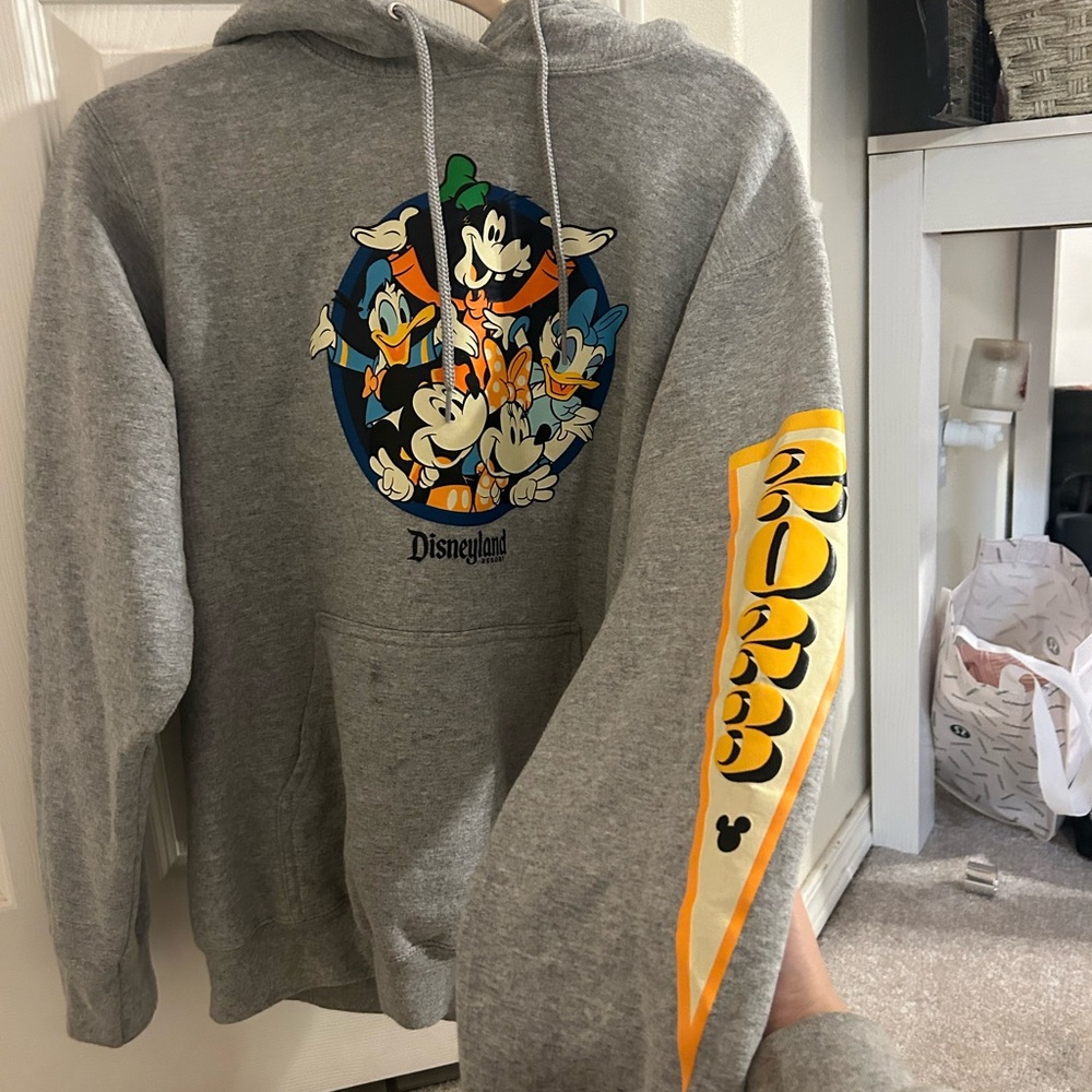 Disney land hoodie